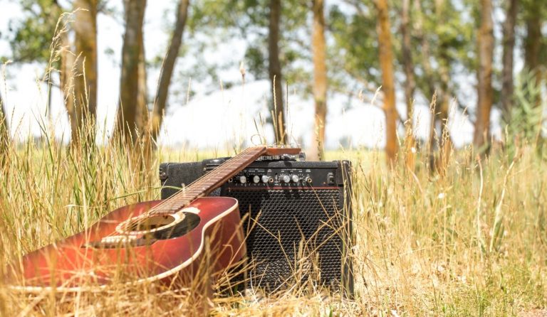 La musica per il Pianeta