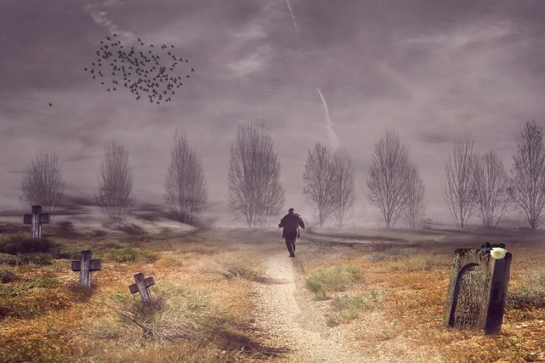 sogni universali
