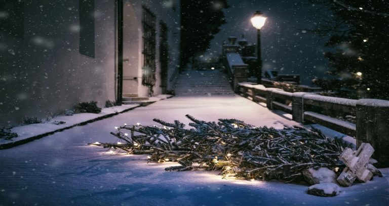 Sognare la neve