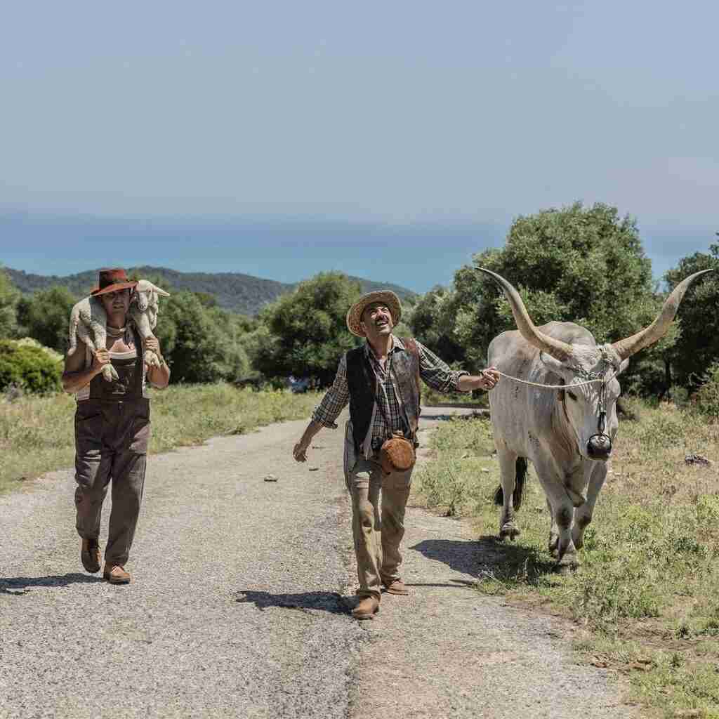 come può uno scoglio pio e amedeo