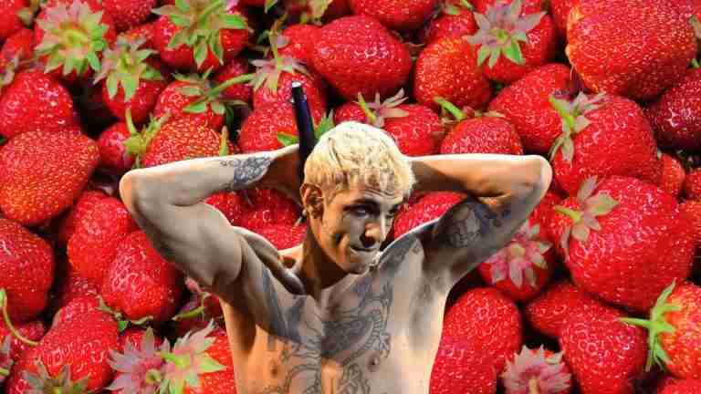 Achille Lauro fragole X Factor 2024