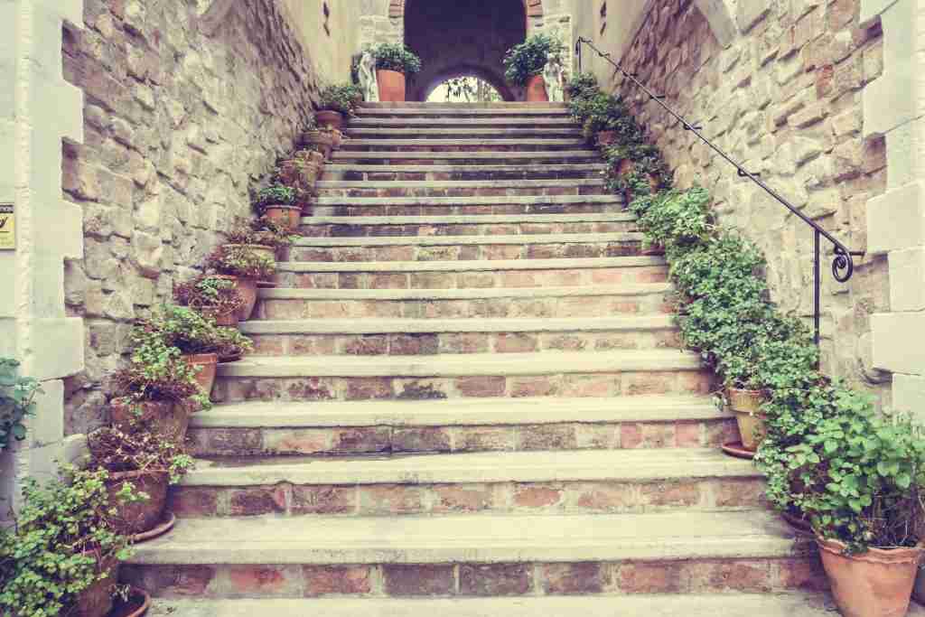 sogno scale