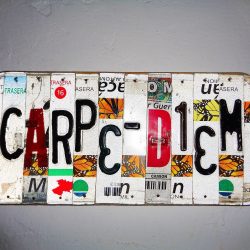 Carpe diem